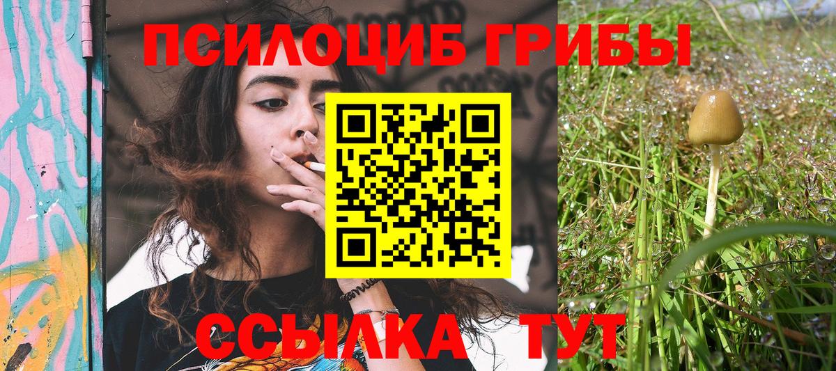 Псилоцибиновые грибы GOLDEN TEACHER Карачаевск