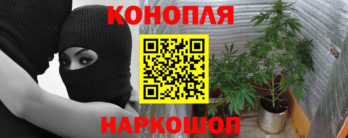 Бошки Шишки индика  Конопля AK-47  Карачаевск  Вход с VPN  Канабис гибрид 